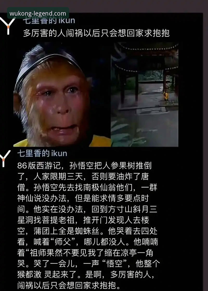 悟空体育是正规平台吗安全吗 悟空体育平台是正规的吗?安全体验如何深度解析?
